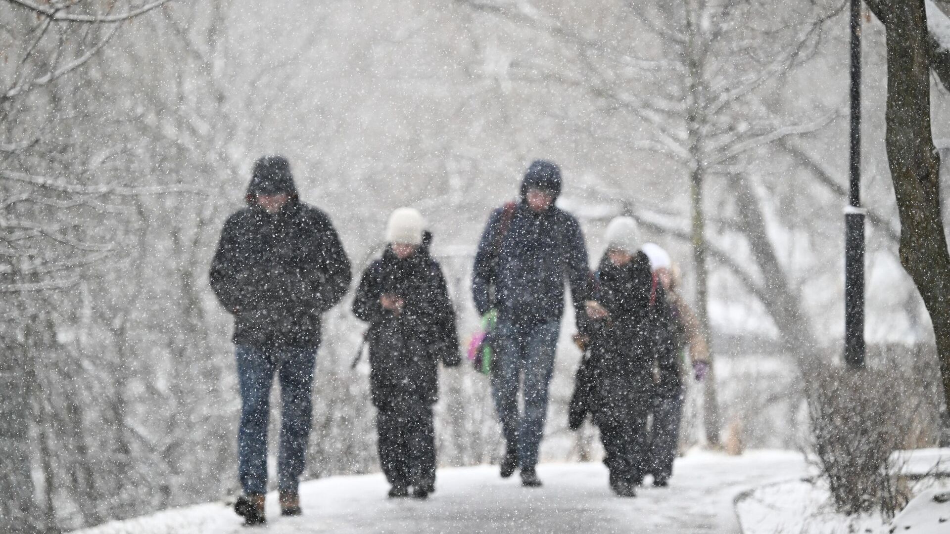 Глава ОСР Литвинов: необходимо создать систему официального представительства самозанятых